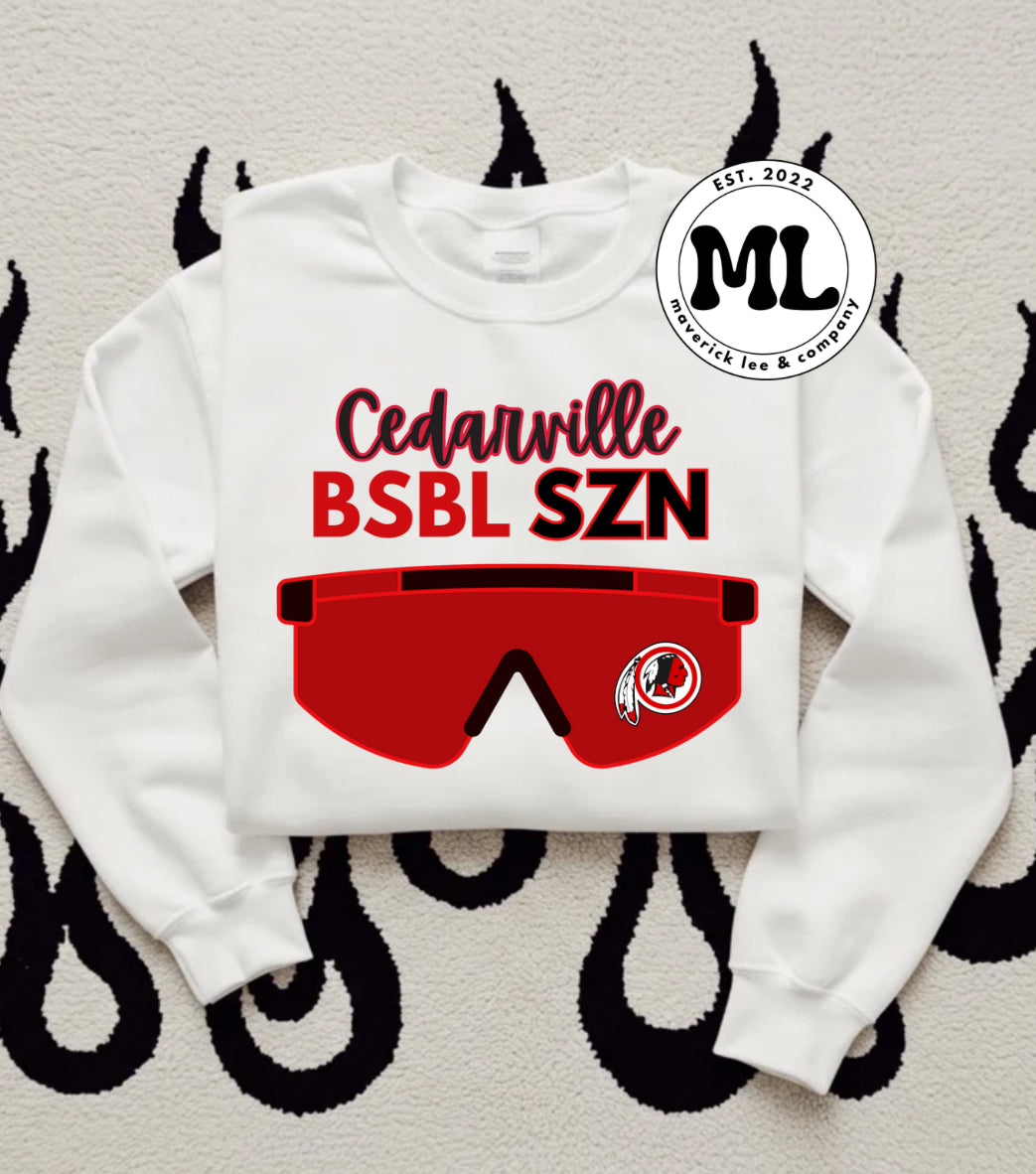 Cedarville Indians BSBL SZN