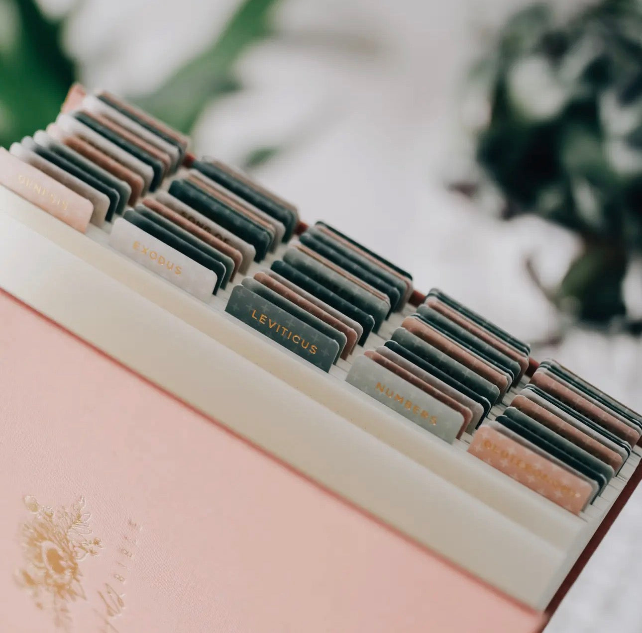 Crosses bible tabs