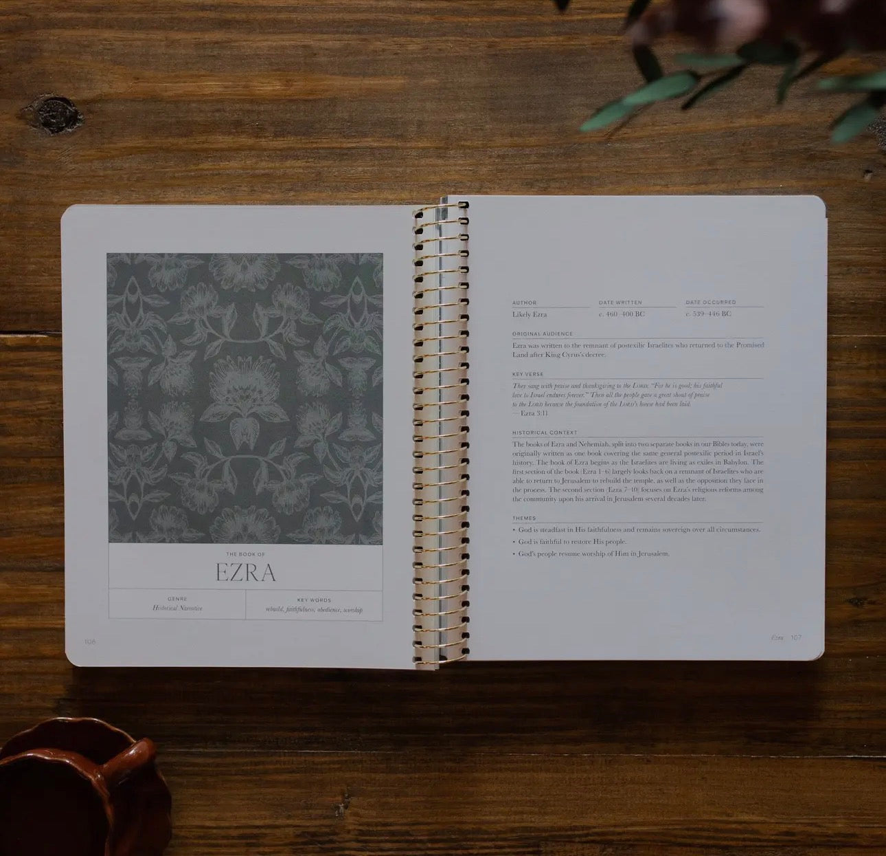 A Year in the Bible | 365 Days of Discovering the Beauty of Jesus from Genesis To Revelation | Volume 2