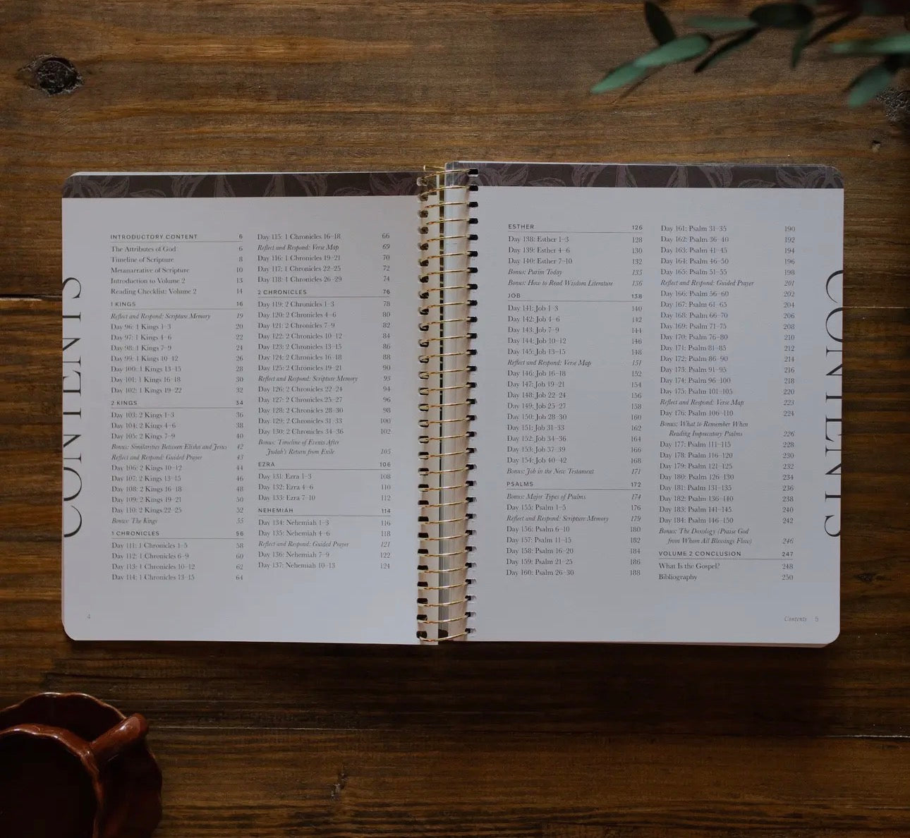 A Year in the Bible | 365 Days of Discovering the Beauty of Jesus from Genesis To Revelation | Volume 2