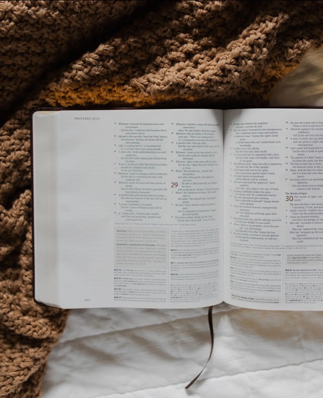 Esv Journaling Study Bible | the Story of Redemption