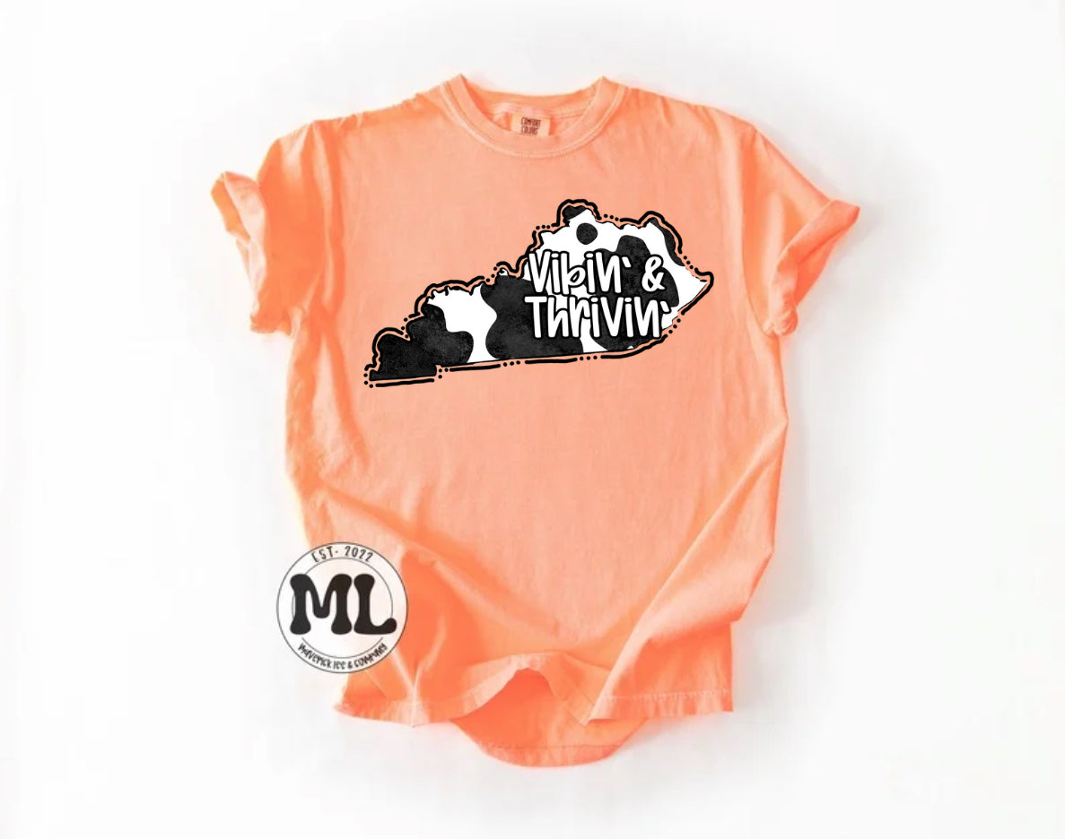 Thrive cow - Kentucky