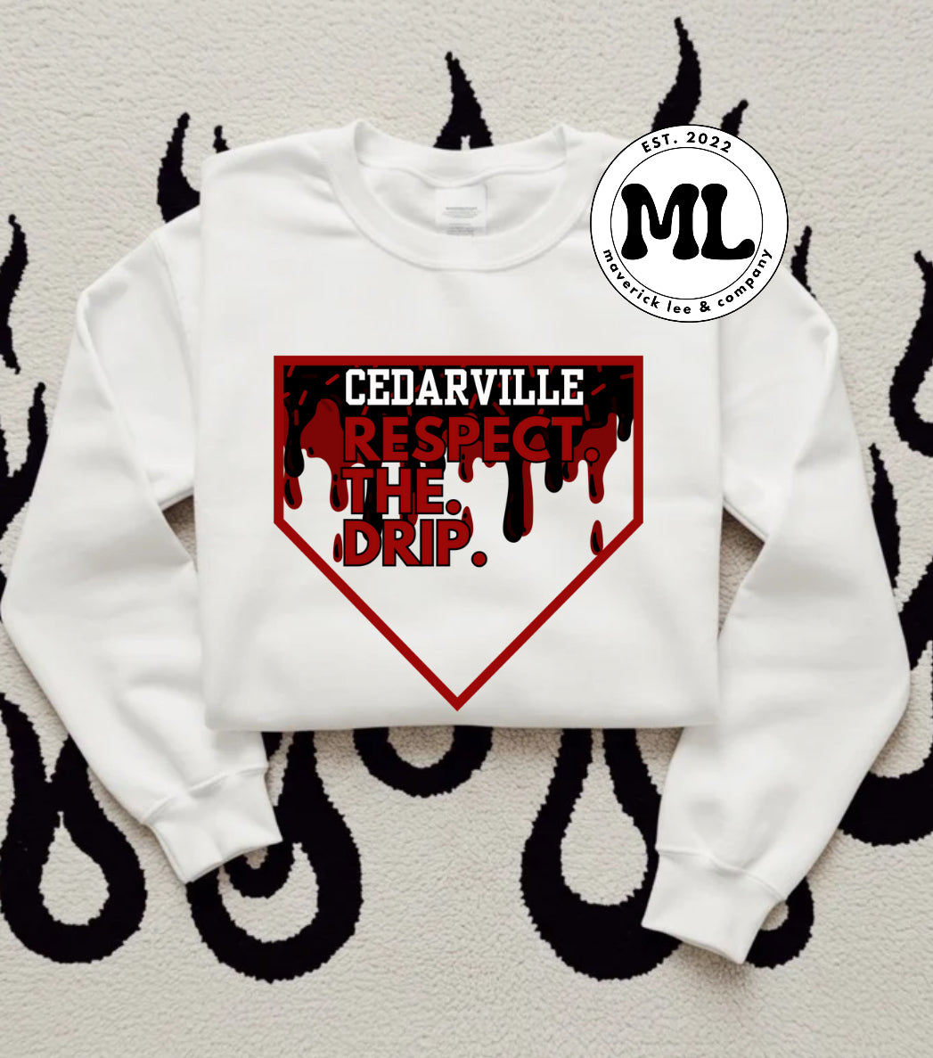 Cedarville Indians respect the drip