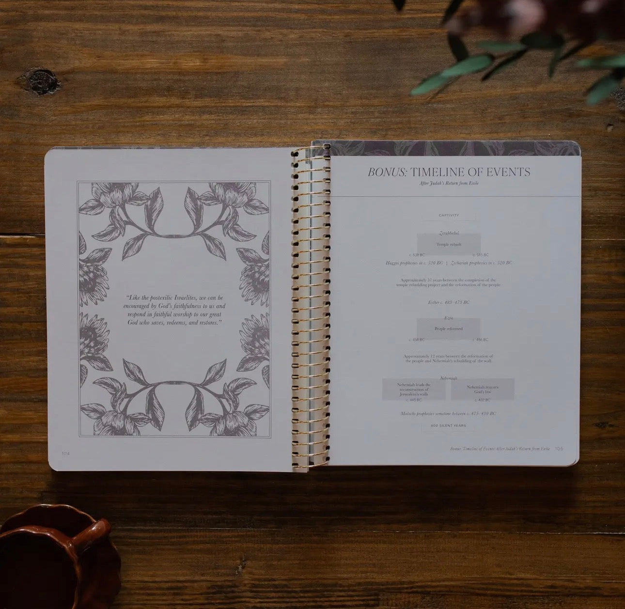 A Year in the Bible | 365 Days of Discovering the Beauty of Jesus from Genesis To Revelation | Volume 2