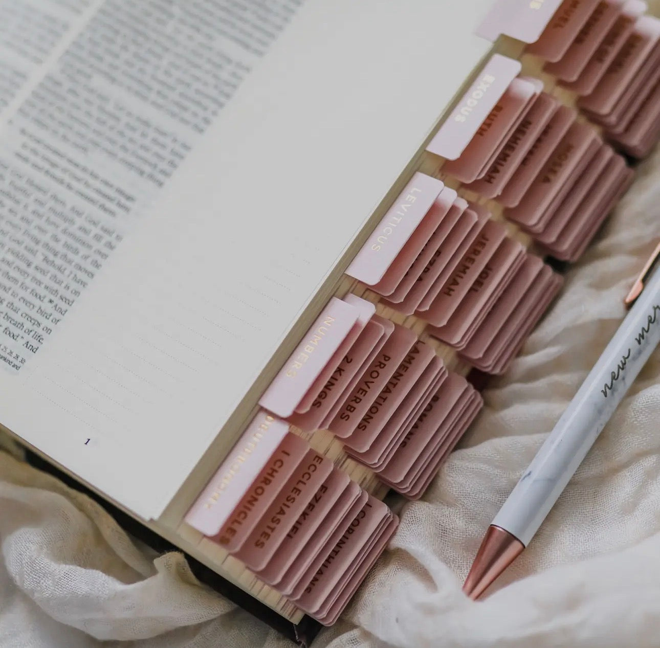 Blush Bible tabs 