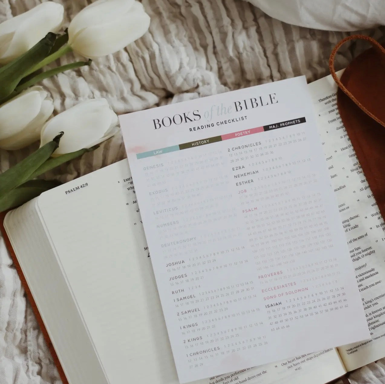 Books of the Bible Reading Checklist