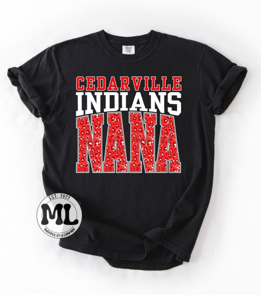 Cedarville Indians Nana Cheetah