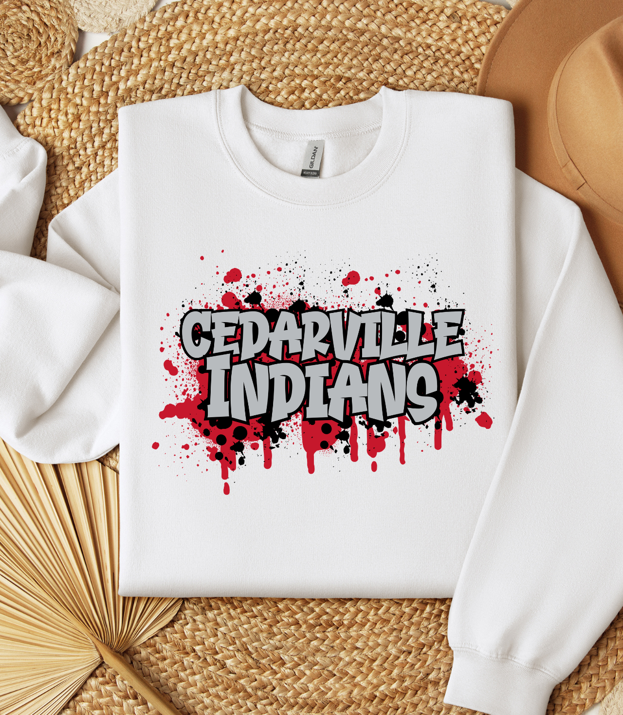 Cedarville Indians
