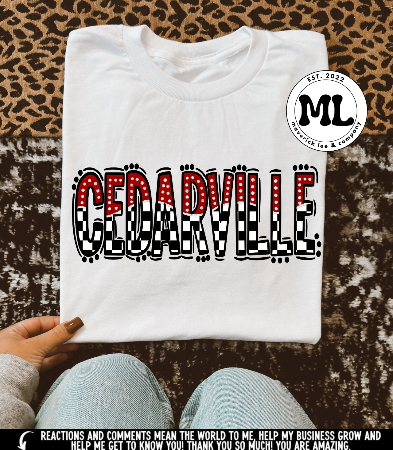 Cedarville Indians