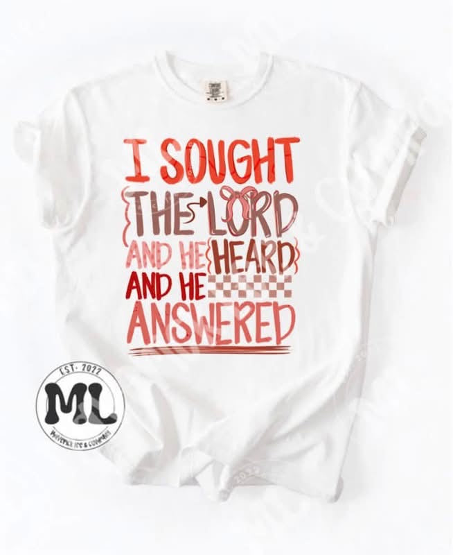 I sought the lord