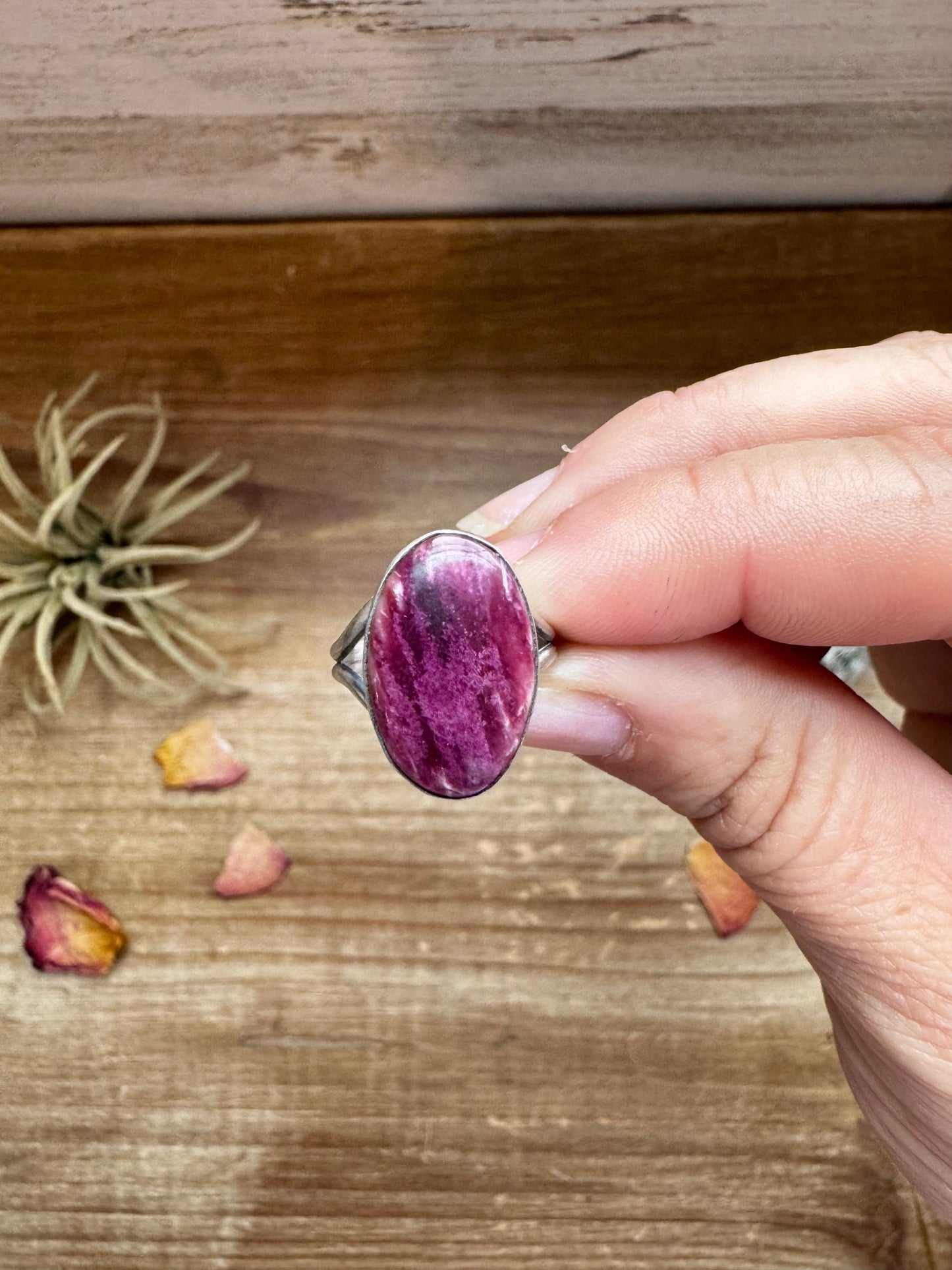 Ring - Size 6 -Purple Spiny & Sterling Silver