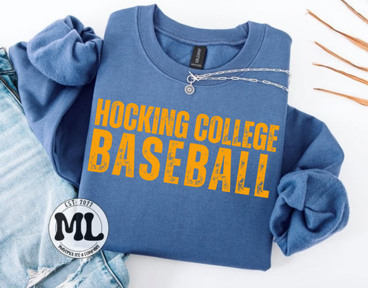 Hocking college baseball distressed