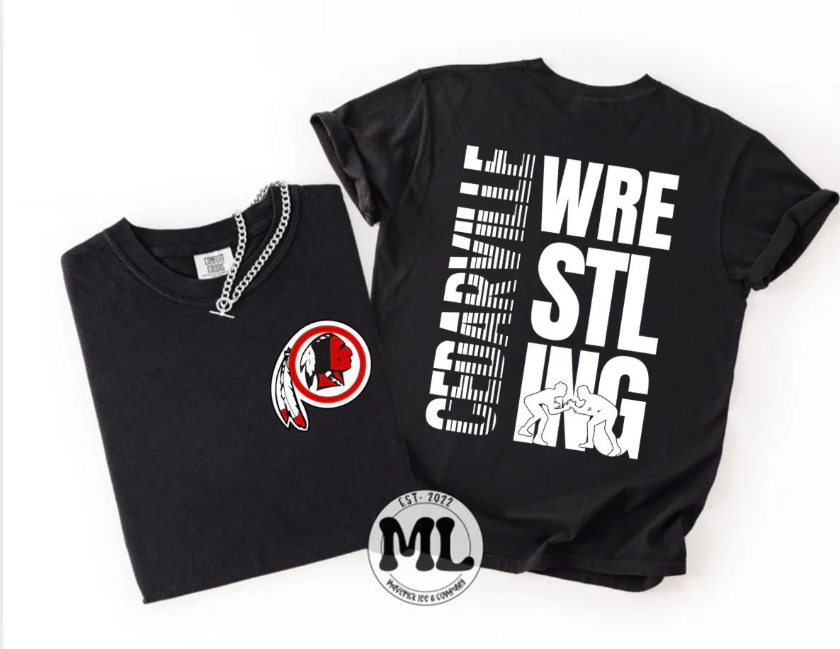 Cedarville Wrestling collection