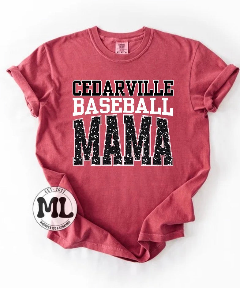 Cedarville Indians Baseball Collection