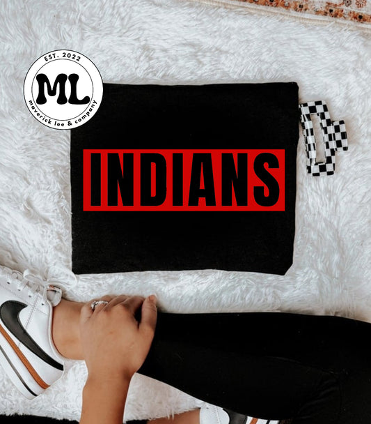 Stebbins Indians - transparent
