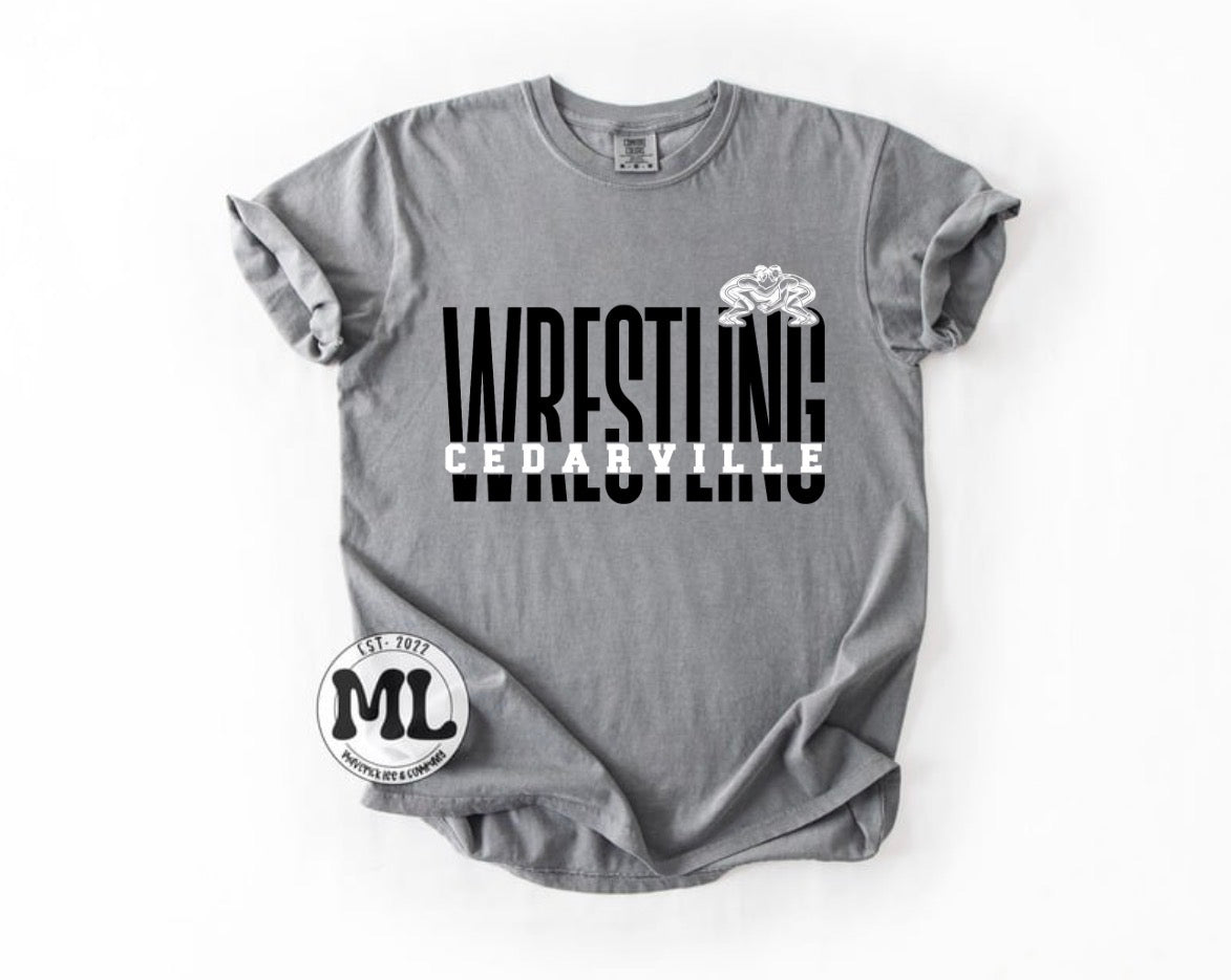 Cedarville Wrestling collection