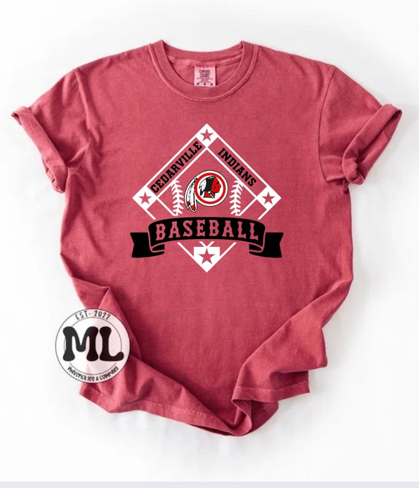 Cedarville Indians Baseball Collection