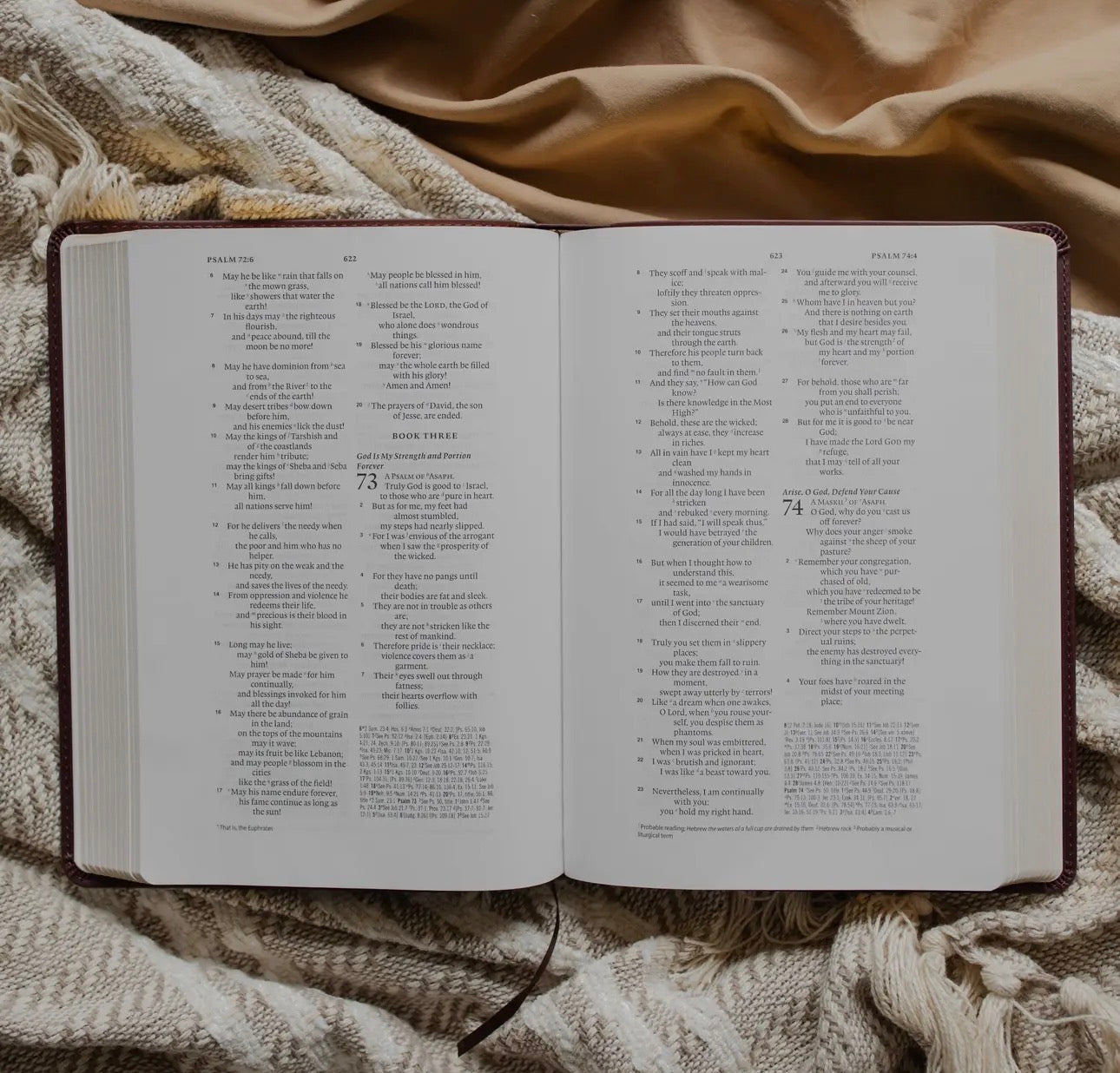 Esv Wide Margin Reference Bible - John
15:5