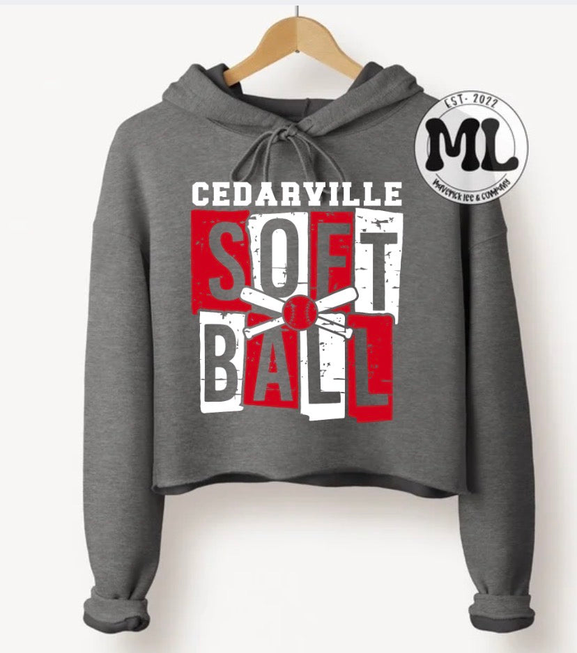 Cedarville Indians softball collection