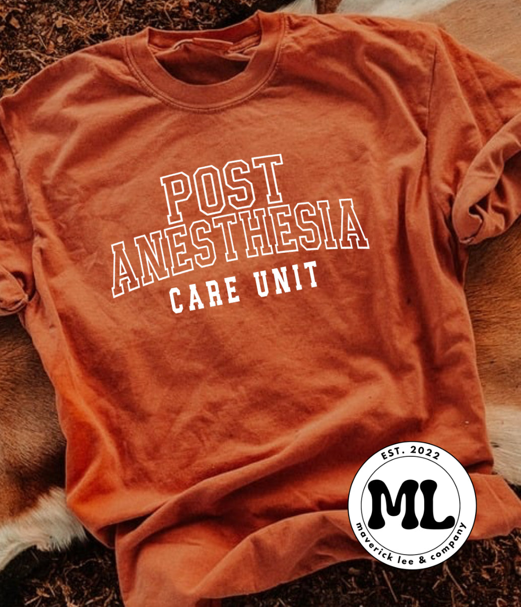Post anesthesia care unit – white outline