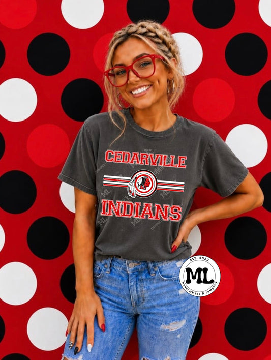Cedarville Indians Unisex Varsity