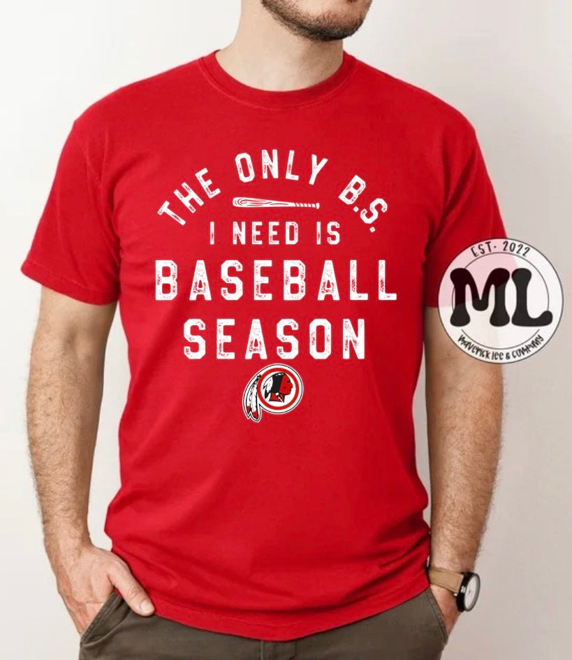 Cedarville Indians Baseball Collection