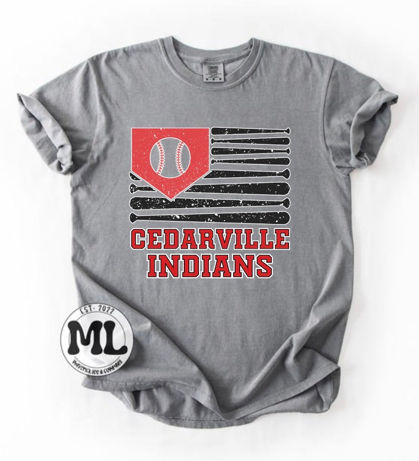 Cedarville Indians Baseball Collection
