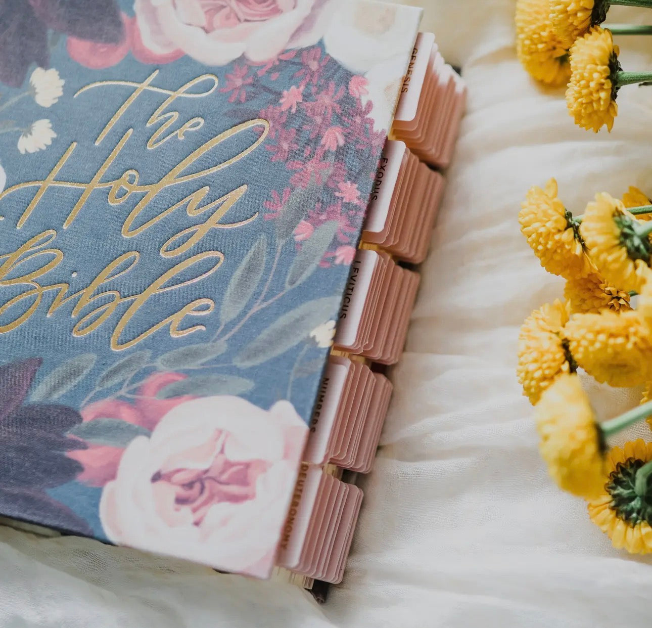Blush Bible tabs ￼