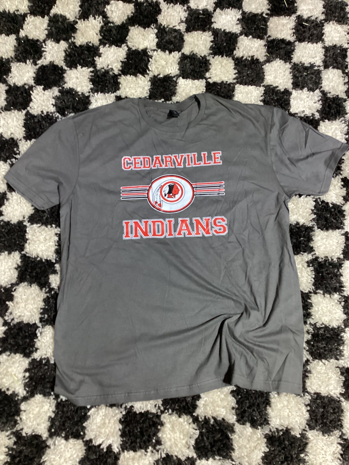 XL Cedarville Indians in stock