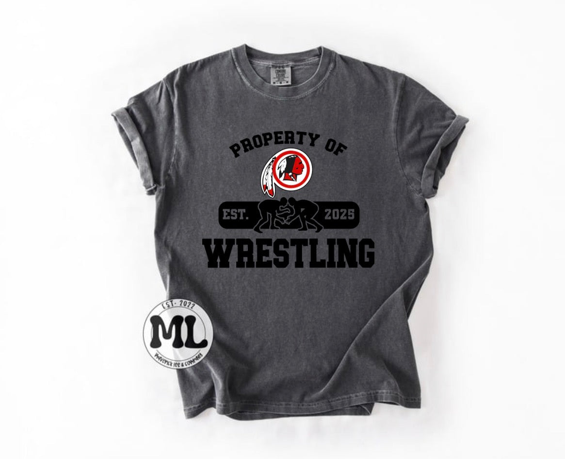 Cedarville Wrestling collection