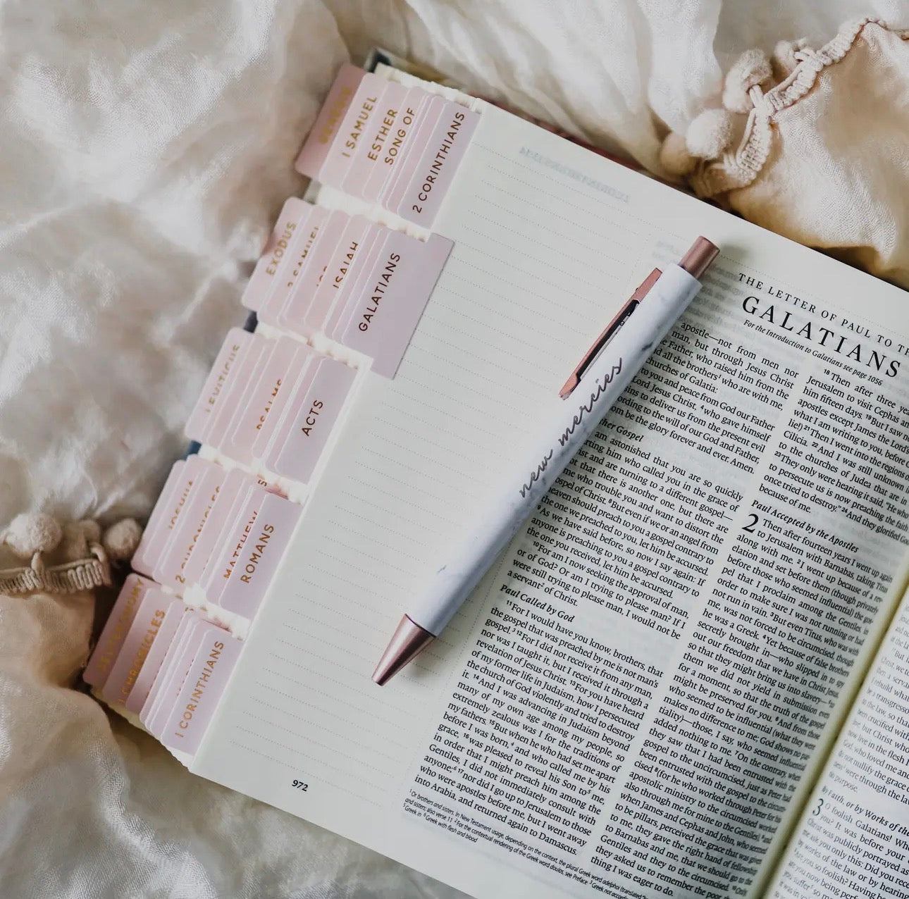 Blush Bible tabs ￼