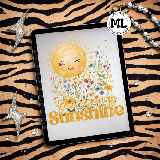 Transfer - You are my sunshine