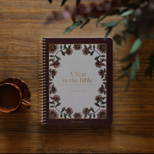 A Year in the Bible | 365 Days of Discovering the Beauty of Jesus from Genesis To Revelation | Volume 2