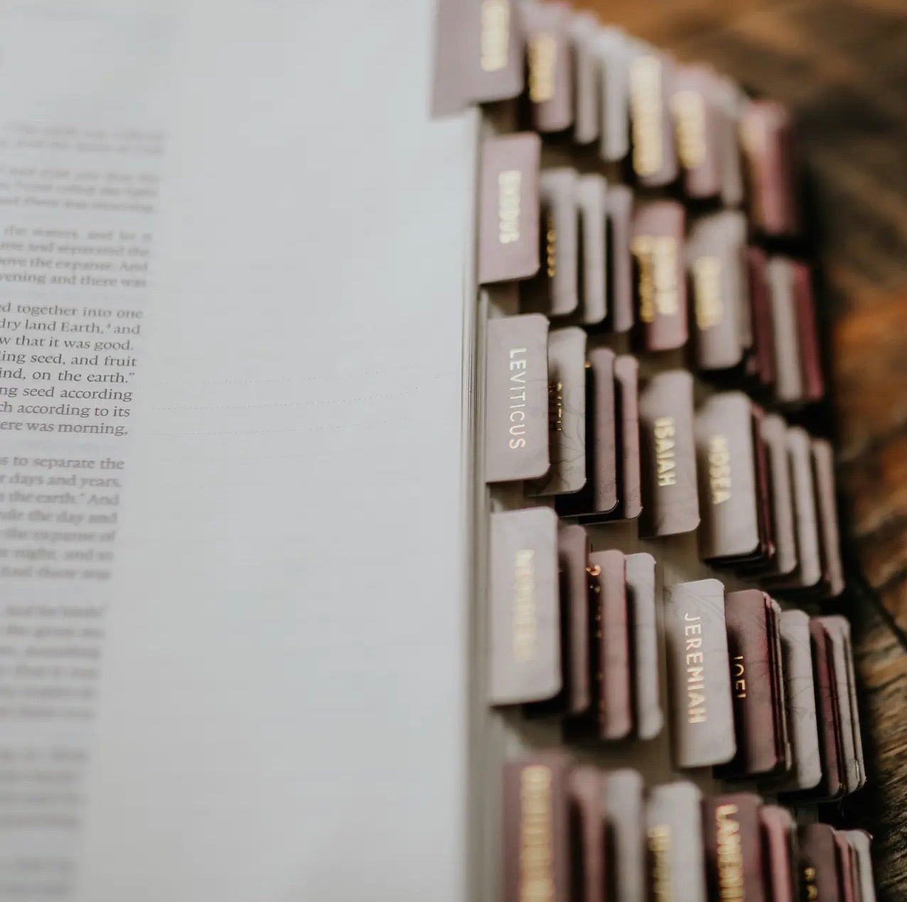 Rose floral bible tabs