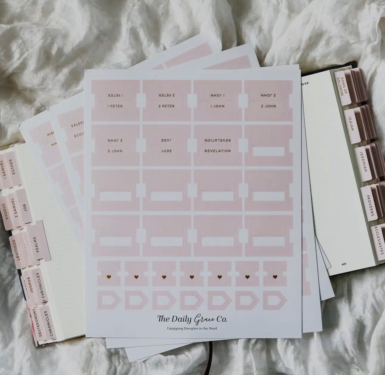 Blush Bible tabs ￼