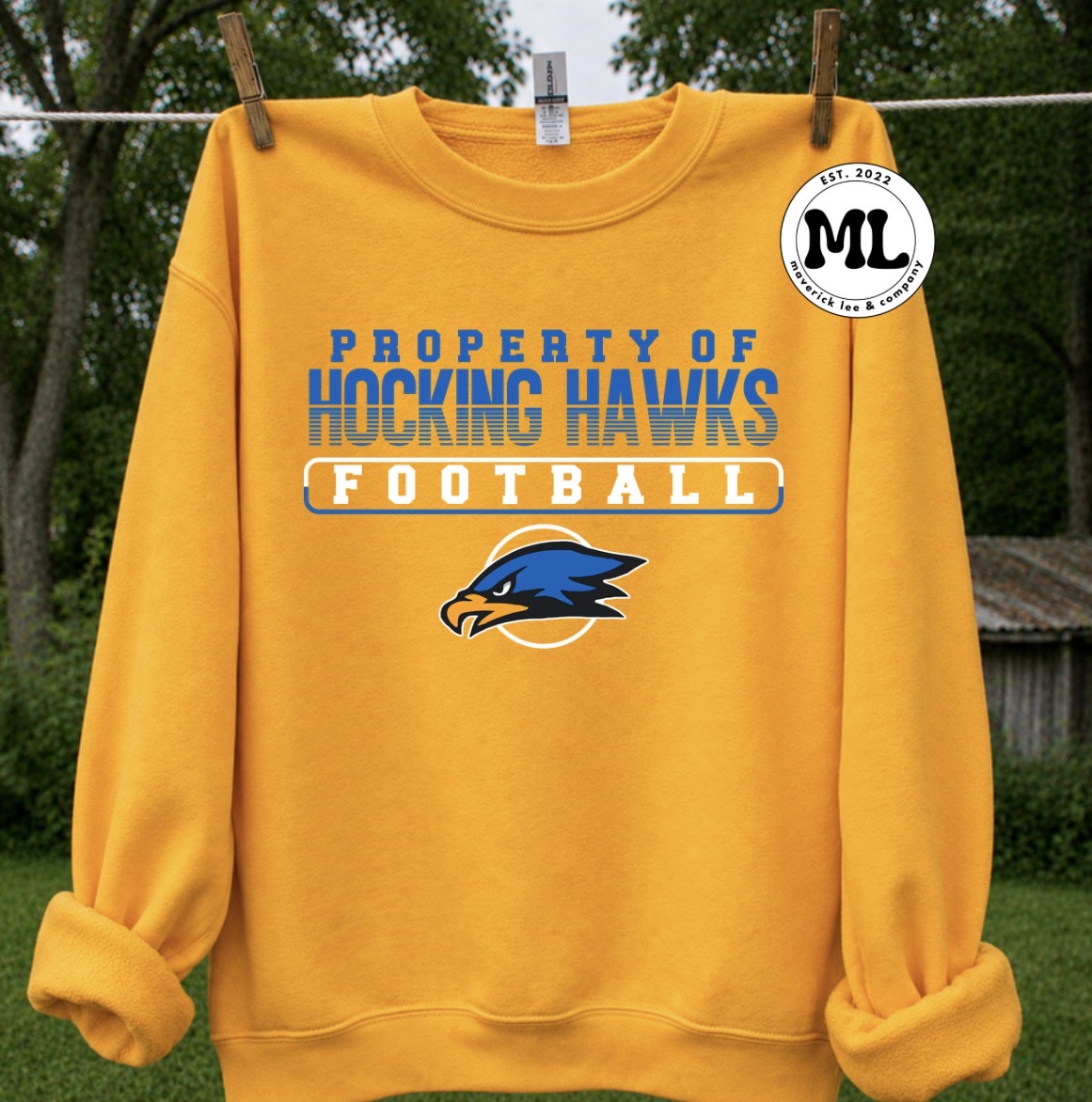 Hocking Football Collection