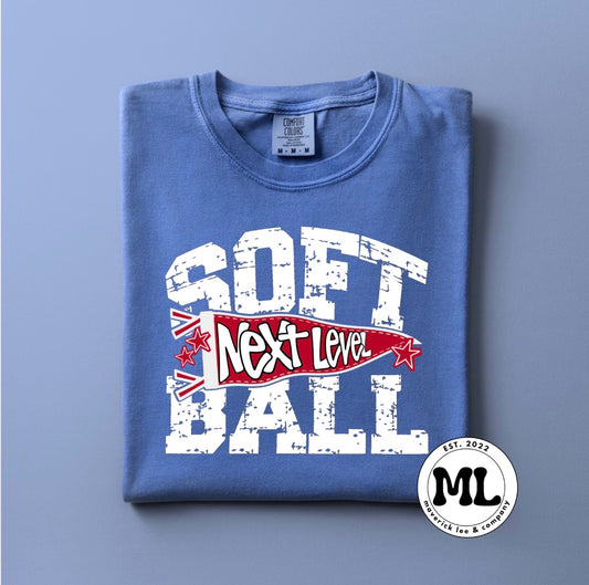 Next level softball distressed pennant