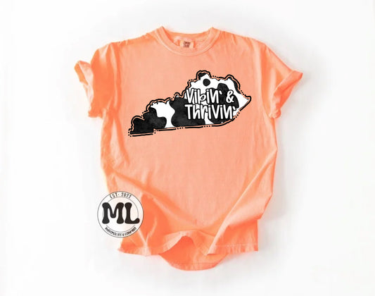 Thrive cow - Kentucky