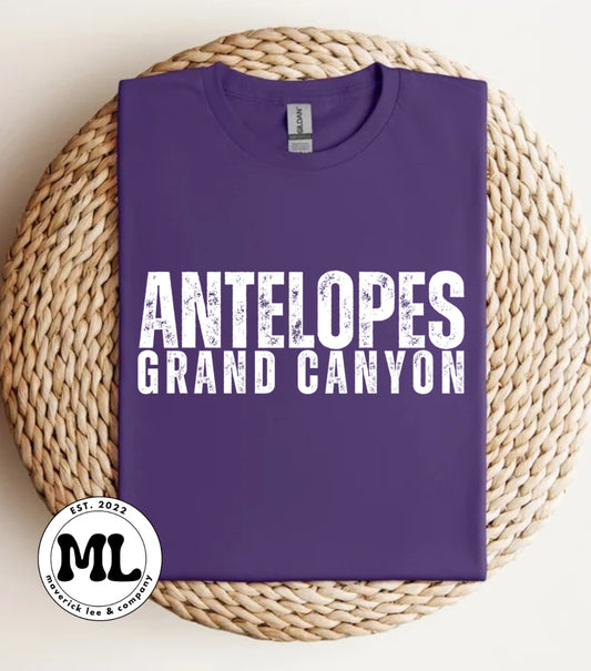 Antelopes Grand Canyon white distressed