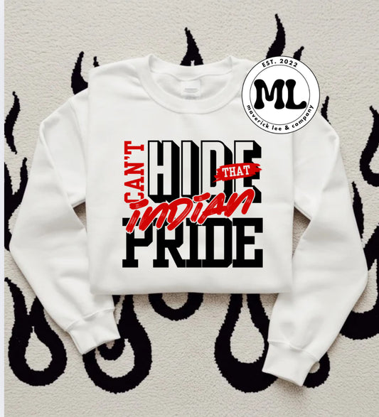 Cedarville Indians pride