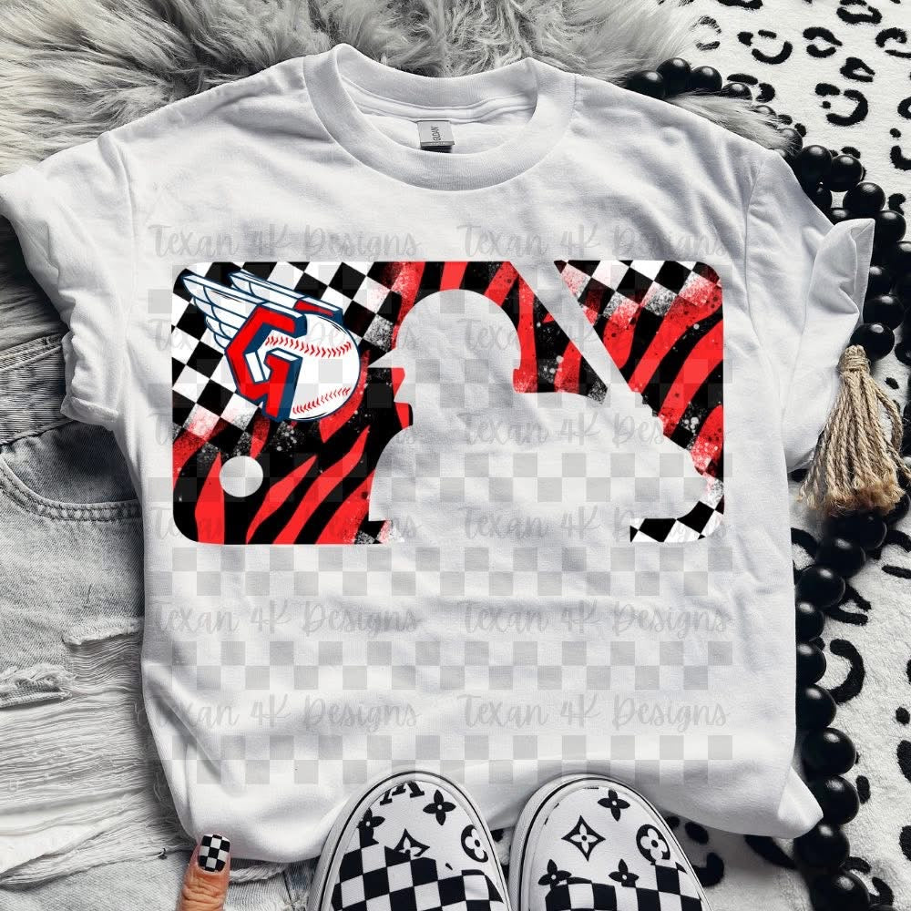 Zebra and checkered baseball collection
