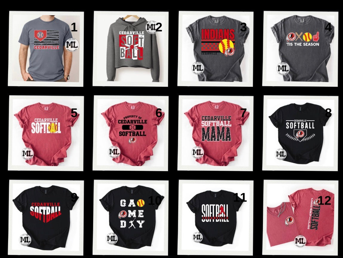 Cedarville Indians softball collection