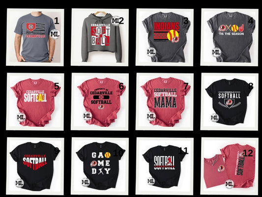 Cedarville Indians softball collection
