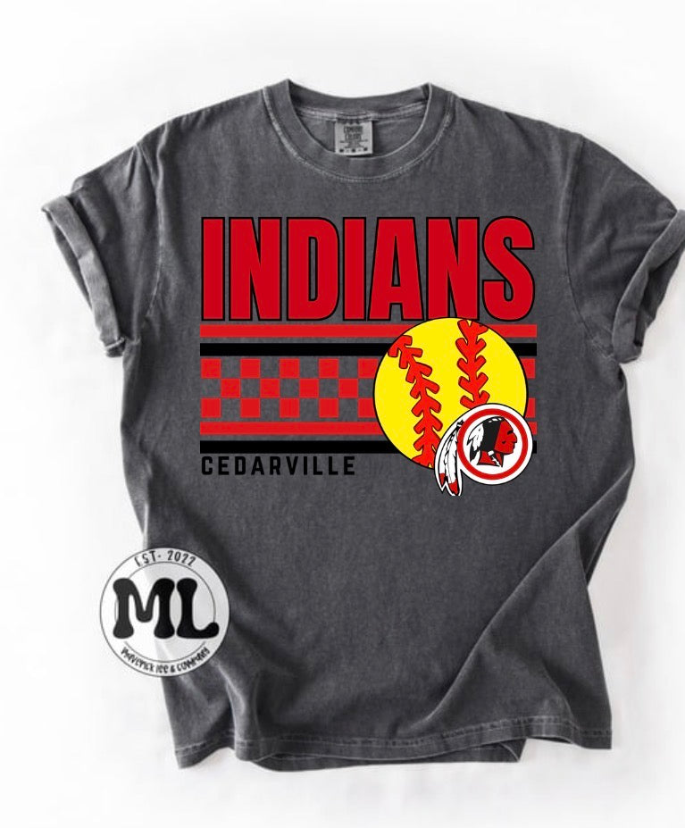 Cedarville Indians softball collection