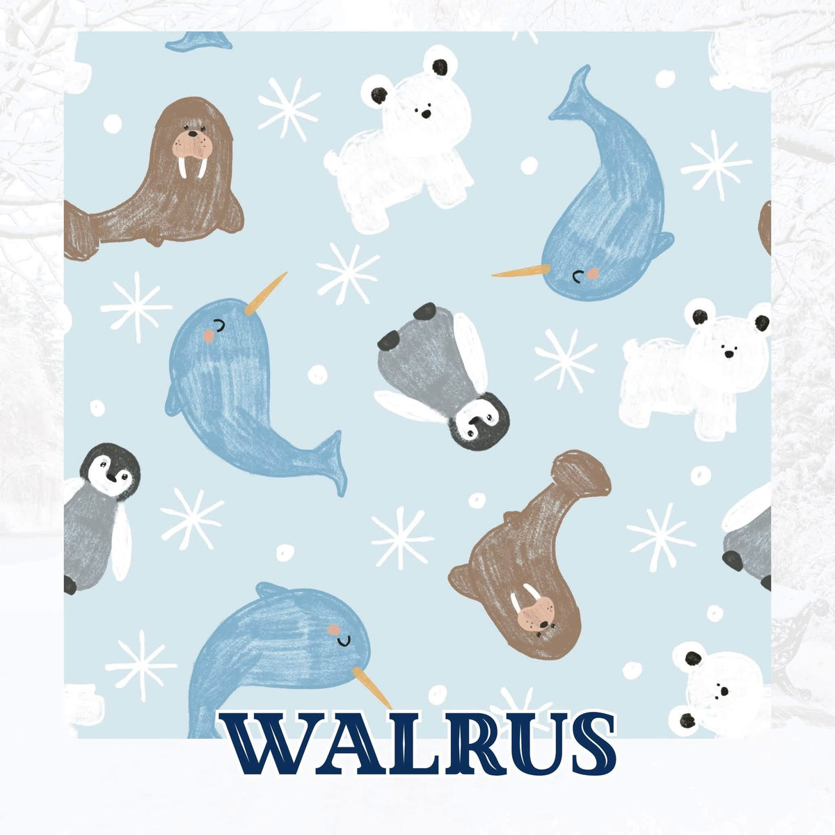 WALRUS | WINTER WONDERLAND