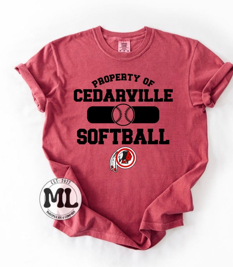 Cedarville Indians softball collection