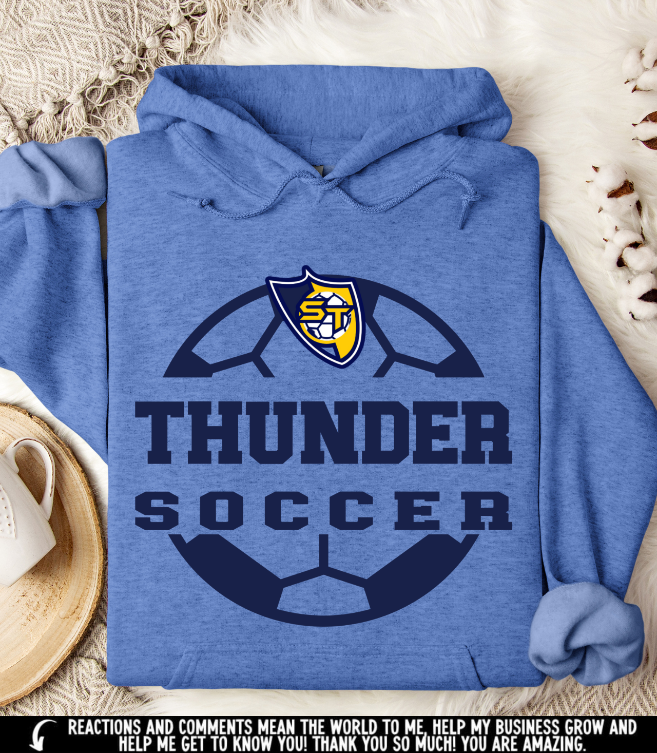 Springfield thunder soccer