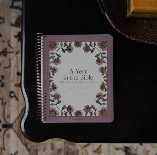 A Year in the Bible 365 Days of Discovering the Beauty of Jesus from Genesis To Revelation | Volume 3