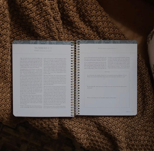 A Year in the Bible | 365 Days of Discovering the Beauty of Jesus from Genesis To Revelation | Volume 1