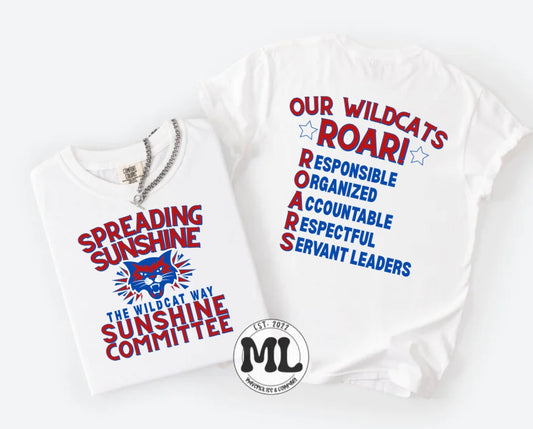 Sunshine committee – Richard Allen